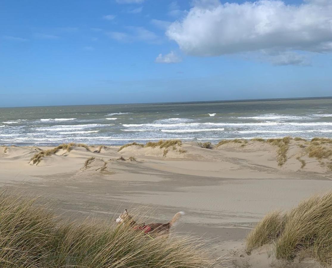 Moderne Studio Aan Het Strand In Oostduinkerke-Bad كوكسيجدي المظهر الخارجي الصورة